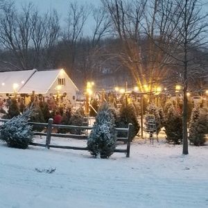 Meet your Posher, Elyssa